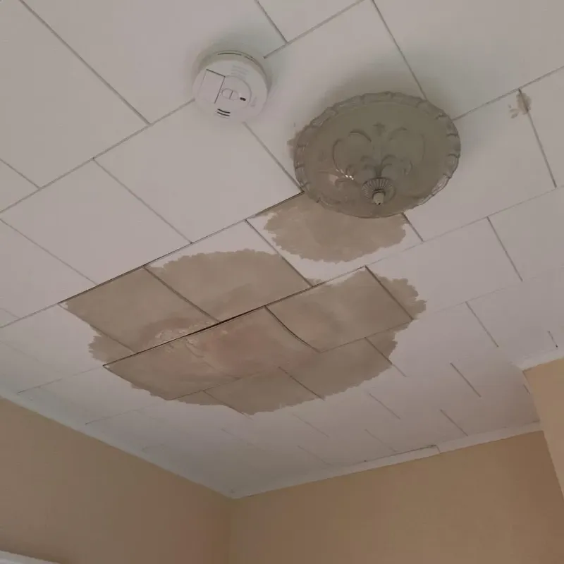 Ceiling Water Damage Repair in Dixmont, ME