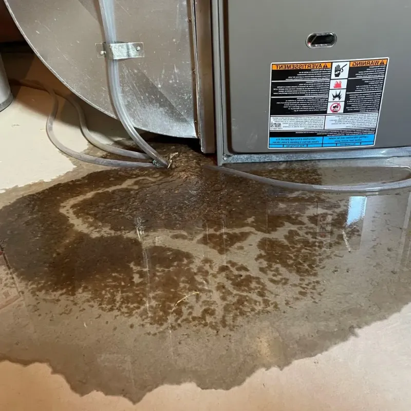 Pipe Burst and Leak Restoration in Dixmont, ME