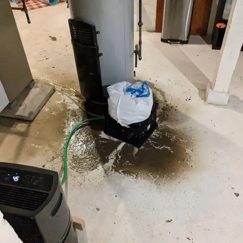 Sewage Backup Cleanup Service in Dixmont, ME